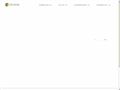 Chrome Systems