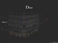Dior(迪奥)
